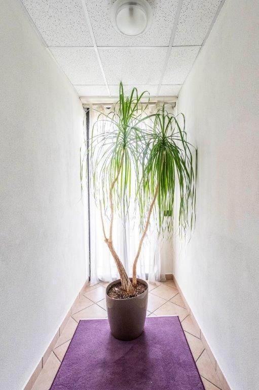 Hotel Le Palme (Adults Only) Dormelletto Luaran gambar